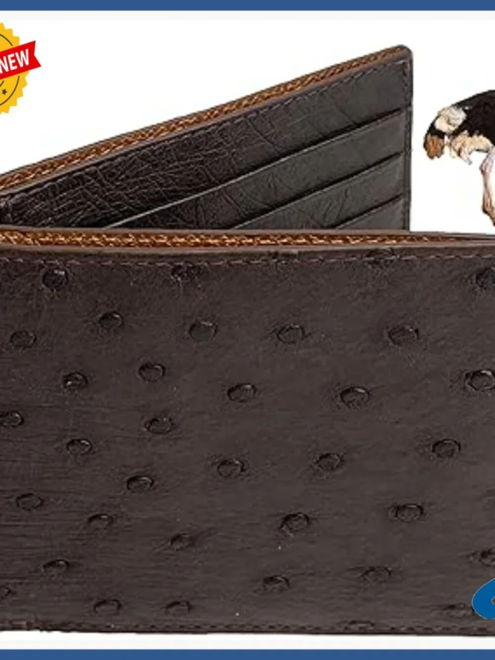 Men's Slim Bifold Wallet Ostrich Leather RFID Blocking Multiple Pockets